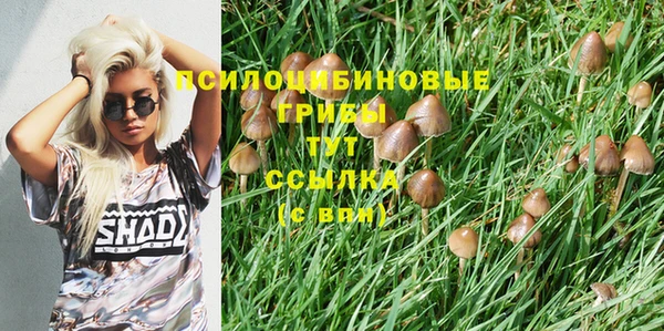 меф Зерноград