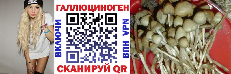 Купить закладки  Ядрин  Псилоцибиновые грибы Magic Shrooms 
